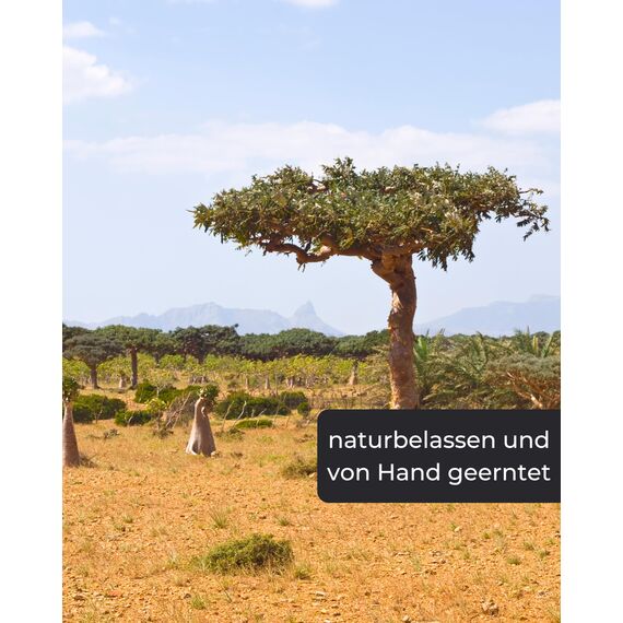 Myrrhe Räucherharz 500g – Hochwertiges Myrrhe Harz zum Räuchern | Naturreines Baumharz & Räucherwerk für Aromatherapie, Rituale & Entspannung