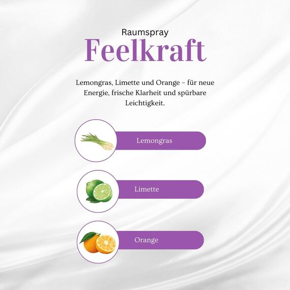 Baldini - Feelkraft BIO-Raumspray aus 100% naturreinen Rohstoffen, demeter, 50 ml