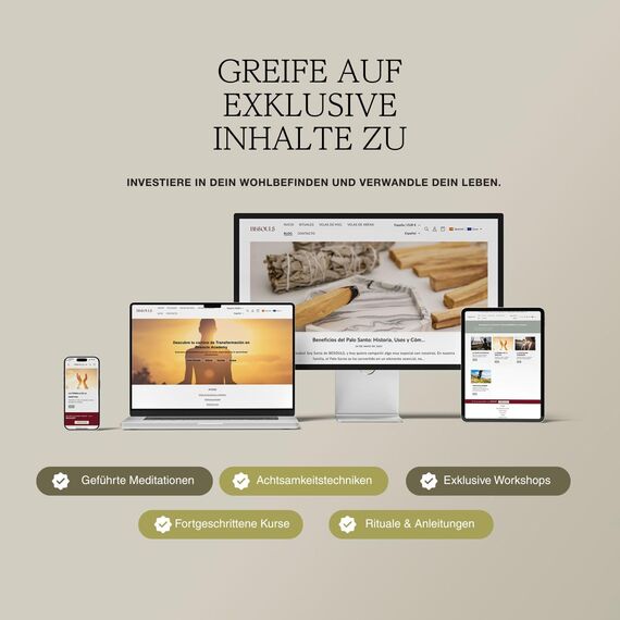 BESOULS Premium Räucherset hausreinigung Neue Anfänge: 4-6 Palo Santo Räucherholz 1 Weißer Salbei zum Räuchern 5 Steine Neubeginn Handgefertigtes Tablett QR mit digitalem Inhalt (Neue Anfänge)