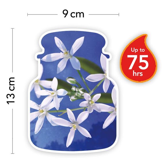 Yankee Candle Duftkerze im Glas (mittelgroß) | Midnight Jasmine | Brenndauer bis zu 75 Stunden