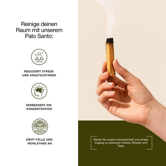 BESOULS Premium Räucherset Schutz: 4-6 Palo Santo Räucherholz, 1 Weißer Salbei zum Räuchern, 5 Schutzsteine, Handgefertigtes Tablett, Spirituelle Geschenke, QR mit digitalem Inhalt (Schutz)