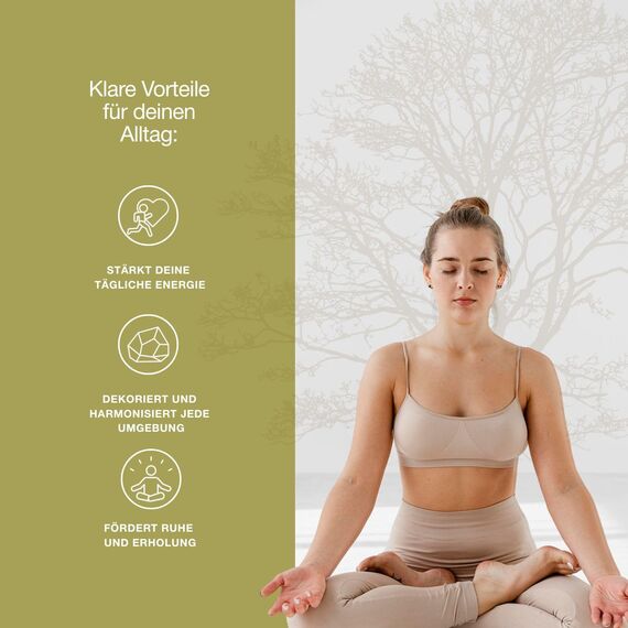 BESOULS Premium Räucherset hausreinigung Neue Anfänge: 4-6 Palo Santo Räucherholz 1 Weißer Salbei zum Räuchern 5 Steine Neubeginn Handgefertigtes Tablett QR mit digitalem Inhalt (Neue Anfänge)