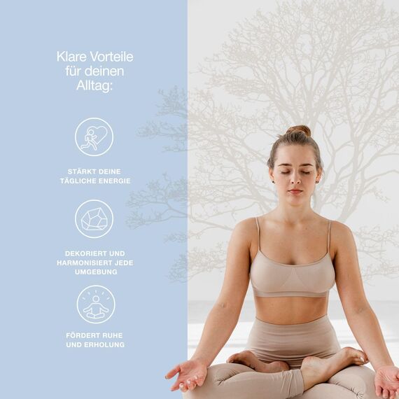 BESOULS Premium Räucherset Schutz: 4-6 Palo Santo Räucherholz, 1 Weißer Salbei zum Räuchern, 5 Schutzsteine, Handgefertigtes Tablett, Spirituelle Geschenke, QR mit digitalem Inhalt (Schutz)