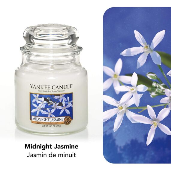 Yankee Candle Duftkerze im Glas (mittelgroß) | Midnight Jasmine | Brenndauer bis zu 75 Stunden
