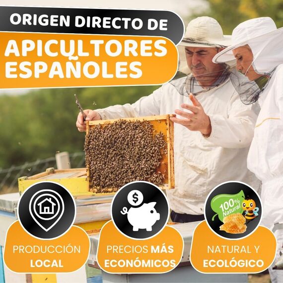 DECEVI Bienenwachskerzen Honigwabe – 8 Stück – 100% Natürliches spanisches Bienenwachs – Handgefertigt & Ohne Paraffin – Nachhaltige Kerzen für Zuhause (3 Stück, 20 cm x 3,5 cm)