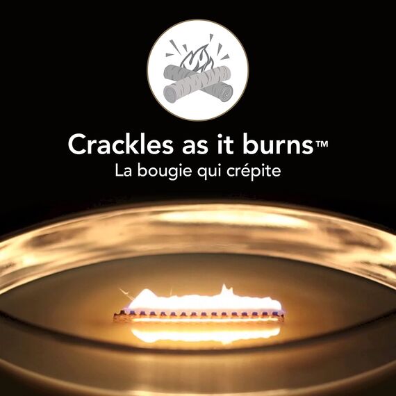 WoodWick ellipsenförmige Duftkerze mit knisterndem Docht | Pressed Blooms & Patchouli | Brenndauer bis zu 50 Stunden