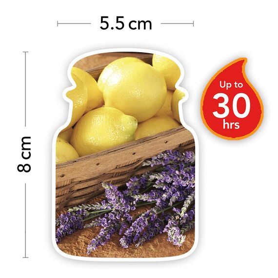 Yankee Candle Duftkerze im Glas (klein) | Lemon Lavender | Brenndauer bis zu 30 Stunden
