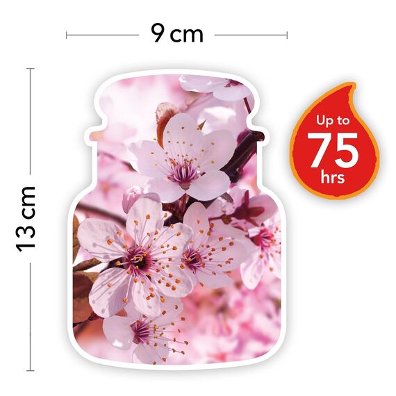 Yankee Candle Duftkerze im Glas (mittelgroß) | Cherry Blossom | Brenndauer bis zu 75 Stunden