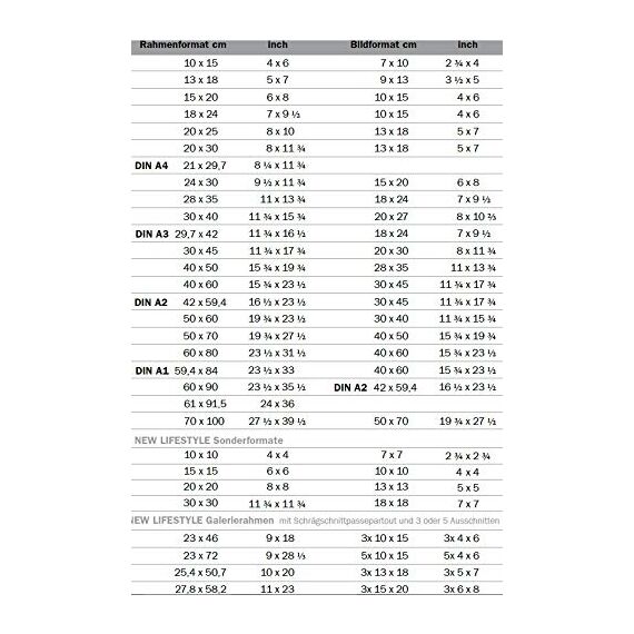 walther design Bilderrahmen silber 59,4 x 84 cm (DIN A1) New Lifestyle Kunststoffrahmen KV684S