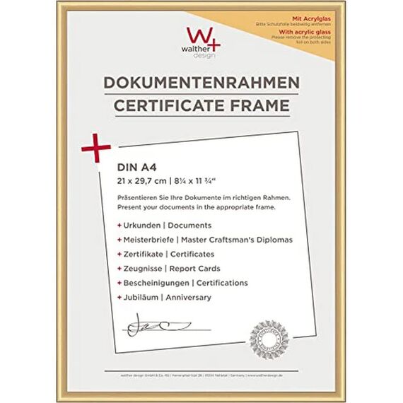 walther design Bilderrahmen gold 21 x 29,7 cm (DIN A4) mit Kunstglas, New Lifestyle Kunststoffrahmen KVX130G