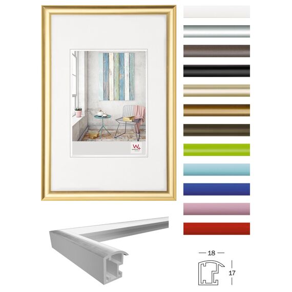 walther design Bilderrahmen gold 40 x 60 cm Doppelpack, Trendstyle Kunststoffrahmen KP460GD