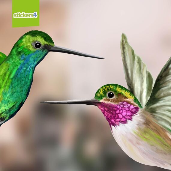 Stickers4 Vogelaufkleber für Fensterscheiben zum Schutz gegen Vogelschlag | Vogelschutz Fenster | 4 x Schöne Kolibri-Glasaufkleber, doppelseitig und selbstklebend zum Schutz gegen Vogelkollisionen