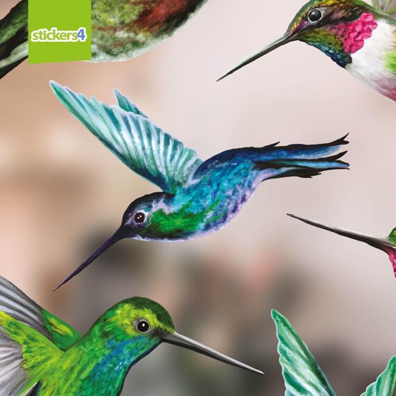 Stickers4 Vogelaufkleber für Fensterscheiben zum Schutz gegen Vogelschlag | Vogelschutz Fenster | 8 x Schöne Kolibri-Glasaufkleber, doppelseitig und selbstklebend zum Schutz gegen Vogelkollisionen