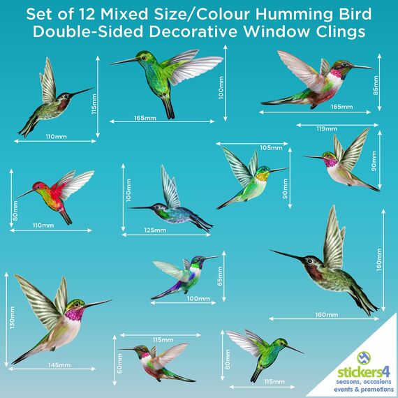 Stickers4 Vogelaufkleber für Fensterscheiben zum Schutz gegen Vogelschlag | Vogelschutz Fenster | 12 x Schöne Kolibri-Glasaufkleber, doppelseitig und selbstklebend zum Schutz gegen Vogelkollisionen