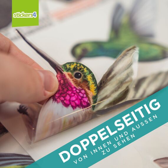 Stickers4 Vogelaufkleber für Fensterscheiben zum Schutz gegen Vogelschlag | Vogelschutz Fenster | 8 x Schöne Kolibri-Glasaufkleber, doppelseitig und selbstklebend zum Schutz gegen Vogelkollisionen