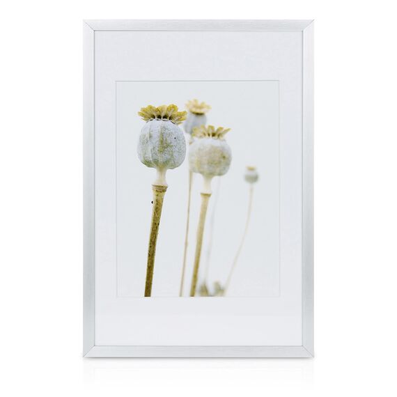 bomoe 18er Bilderrahmen Set – 6x 10x15 cm, 4x 13x18 cm, 4x 18x24 cm, 4x 20x30 cm Fotowand Bilder Set Holz & Kunststoffglas Holzbilderrahmen mit Passepartout Silber