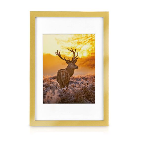 bomoe 18er Bilderrahmen Set – 6x 10x15 cm, 4x 13x18 cm, 4x 18x24 cm, 4x 20x30 cm Fotowand Bilder Set Holz & Kunststoffglas Holzbilderrahmen mit Passepartout Gold