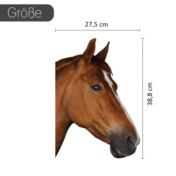 younikat Pferd Fensteraufkleber I statisch haftend I wiederverwendbar I braun I beidseitig bedruckt I 27,5 x 38,8 cm groß I Vogelschutz für Fensterscheibe I UV-beständig I you0061