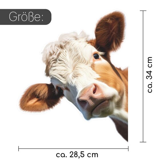 Fensterbild neugierige Kuh I beidseitig bunt I 36 x 30 cm I selbstklebend wiederverwendbar I dv_1314