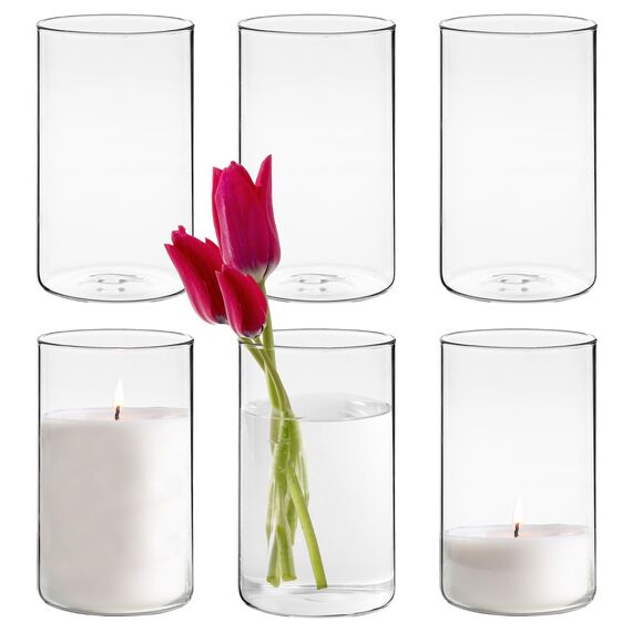 Winter Shore 15 cm Hohe Glasvasen für Tischdeko [6er-Pack] - Gläser für Kerzen, Blumen, Kieselsteine, Muscheln, Perlen & Windlicht Glas - Durchsichtige Glasvase Zylinder - Vasen Hochzeit Tischdeko