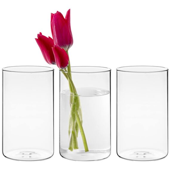Winter Shore 15 cm Hohe Glasvasen für Tischdeko [3er-Pack] - Gläser für Kerzen, Blumen, Kieselsteine, Muscheln, Perlen & Windlicht Glas - Durchsichtige Glasvase Zylinder - Vasen Hochzeit Tischdeko