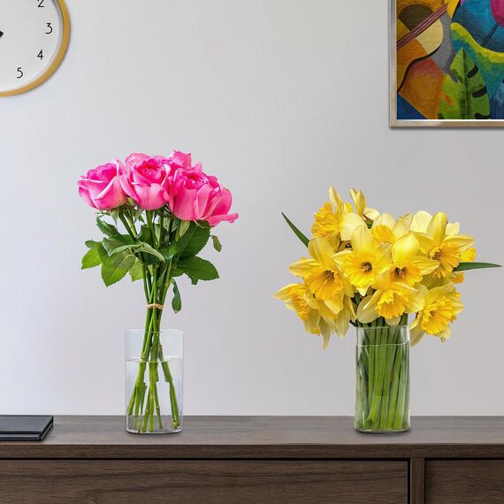 Winter Shore 15 cm Hohe Glasvasen für Tischdeko [6er-Pack] - Gläser für Kerzen, Blumen, Kieselsteine, Muscheln, Perlen & Windlicht Glas - Durchsichtige Glasvase Zylinder - Vasen Hochzeit Tischdeko