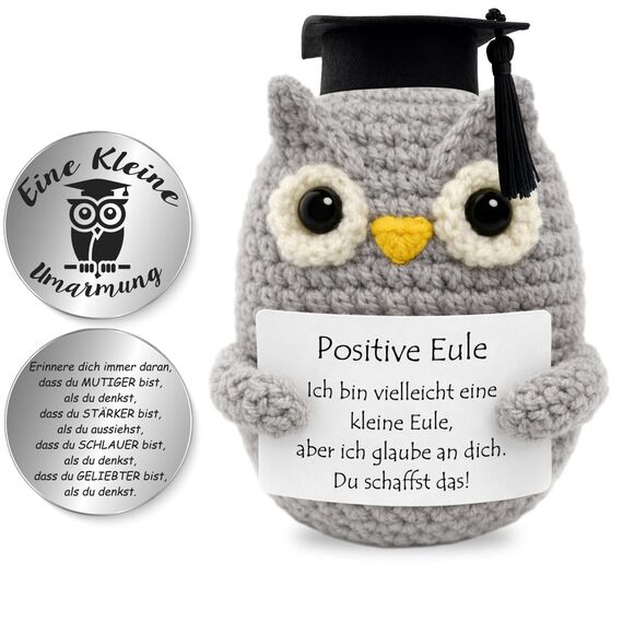 Tixlux Pocket Hug Positive Eule mit Doktorhut, Kreative Strickwolle Eulen-Puppe und Kleine Umarmung Glücksbringer, MutmacherGeschenk, Gute Besserung Geschenk, Einschulung Geschenk