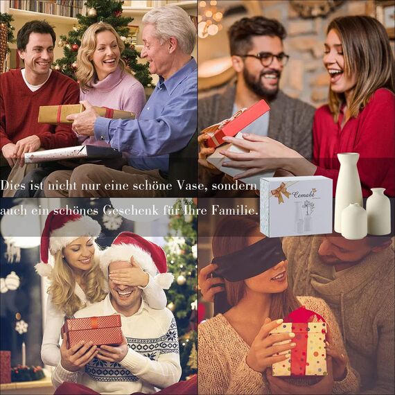 CEMABT Keramik Vasen 3er-Set Kleine Blumenvasen für Dekor, Moderne rustikale Bauernhaus Home Decor, Dekorative für Pampas Grass&getrocknete Blumen, Idee Regal,Tisch, Bücherregal,Mantel (Natur)