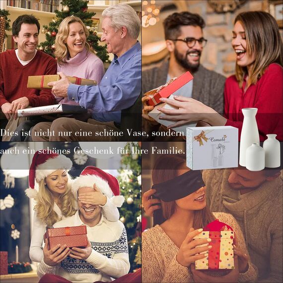 CEMABT Weiß Keramik Vasen 3er-Set Kleine Blumenvasen für Dekor, Moderne rustikale Bauernhaus Home Decor, Dekorative Vasen für Pampas Grass&getrocknete Blumen, Idee Regal,Tisch, Bücherregal,Mantel