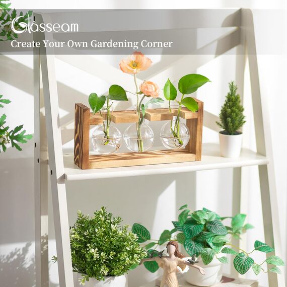 Glasseam Blumenvase Vintage Kleine Vasen Für Tischdeko Modern Glas Reagenzgläser Für Blumen Mit Ständer Holz Propagation Station Für Wohnzimmer Outdoor Taufe Geburtstag Hydroponik Deko