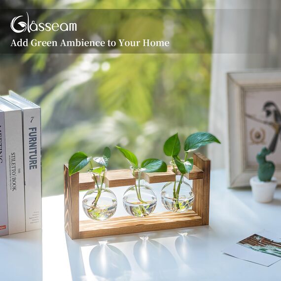 Glasseam Blumenvase Vintage Kleine Vasen Für Tischdeko Modern Glas Reagenzgläser Für Blumen Mit Ständer Holz Propagation Station Für Wohnzimmer Outdoor Taufe Geburtstag Hydroponik Deko