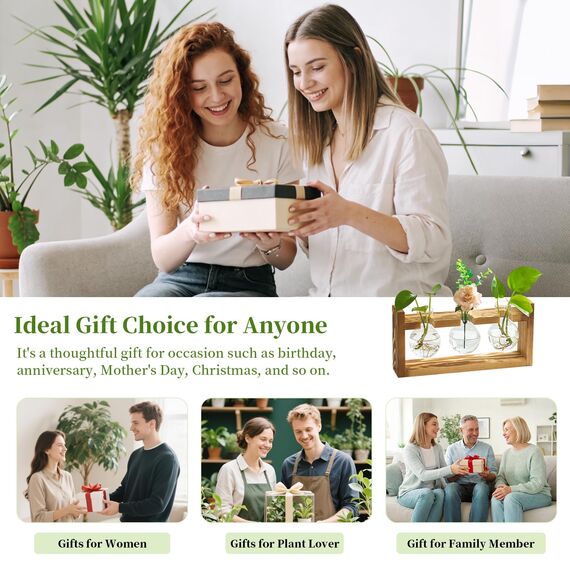 Glasseam Blumenvase Vintage Kleine Vasen Für Tischdeko Modern Glas Reagenzgläser Für Blumen Mit Ständer Holz Propagation Station Für Wohnzimmer Outdoor Taufe Geburtstag Hydroponik Deko