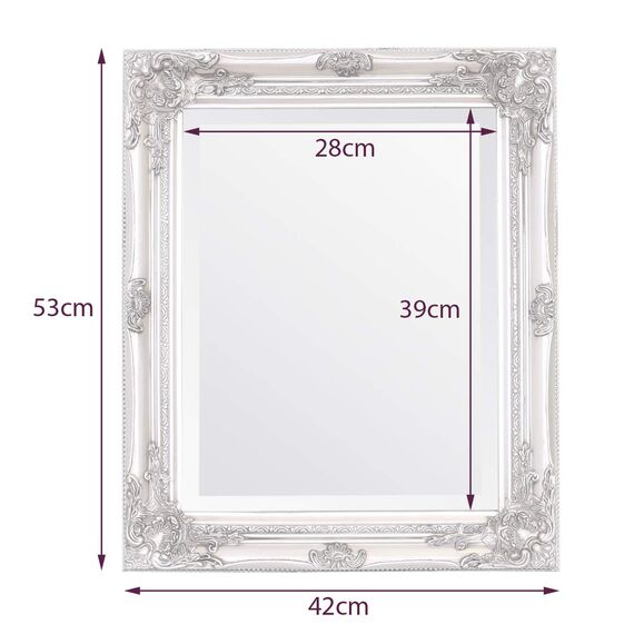 Select Spiegel Rhone Spiegel - French Vintage, Rokoko Barock Stil - 42 cm x 53 cm (Antik Silber)