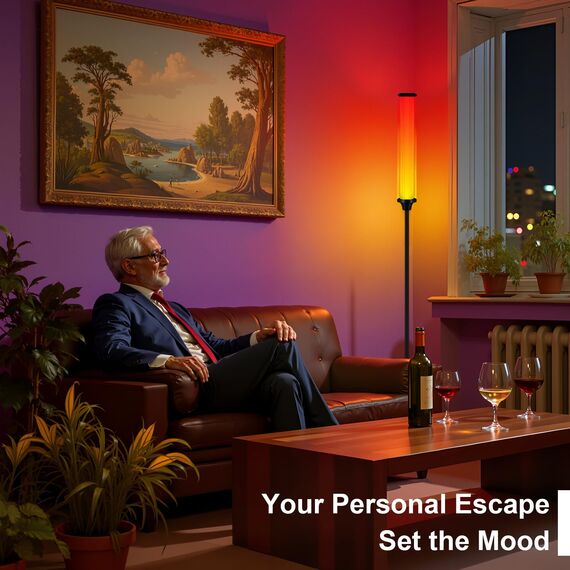 FRIDEKO HOME LED Stehlampe Wohnzimmer (Black)