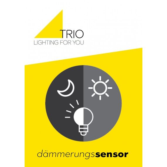 Trio Leuchten Außen Wandleuchte Sambesi 204160135, Aluminium Druckguss Anthrazit mit Holznachbildung, exkl. 1x E27, Holzfarbig