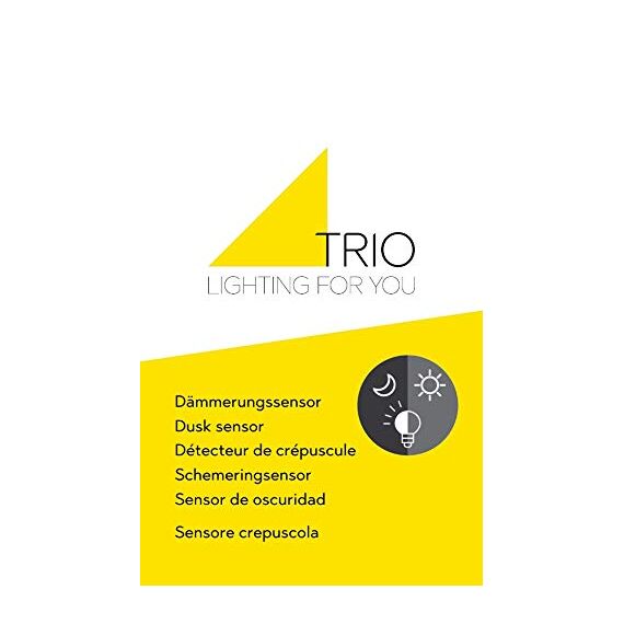 Trio Leuchten Außen Wandleuchte Sambesi 204160124, Alumniumguss Rostfarbig, Acryl klar, exkl. 1 x E27