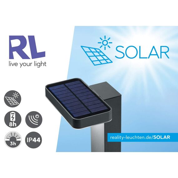 Reality Leuchten LED Solar Außenwandleuchte Salta R22231107, Metall Nickel matt, inkl. 3 Watt LED, Bewegungssensor