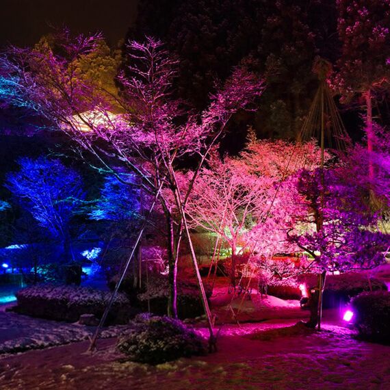 RGB LED Strahler Außen 80W Bluetooth APP Steuerung Fluter Beleuchtung Outdoor, 2700K&Million Farben Dimmbar Smart Flutlichtstrahler IP66 Wasserdicht Außenstrahler Flutlicht Garten Stimmungslichter 1
