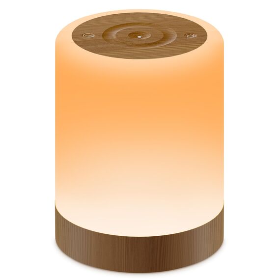 Auxmir Nachttischlampe Nachtlicht Touch Dimmbar, 3000mAh Tischlampe Kabellos USB Aufladbar mit 256 RGB Farben 5 Modi, Timing Funktion, LED Stilllicht Lampe für Deko Schlafzimmer, Camping, Dunkelbraun