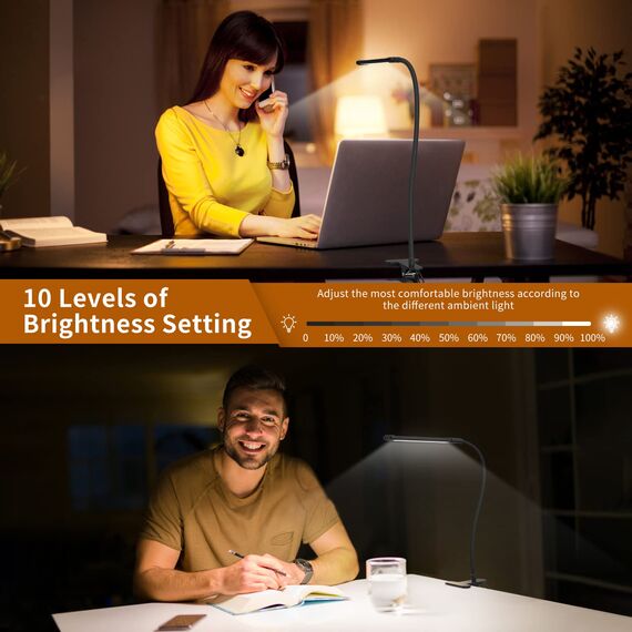 iZELL 77 LED Schreibtischlampe Dimmbar - 【3 Farbtemperaturen & 10 Helligkeitsstufen】 40cm Flexiblem Schwanenhals mit USB-Ladegerät, Klemmleuchte, Bürolampe, Arbeitslampe für Home Office/Büro