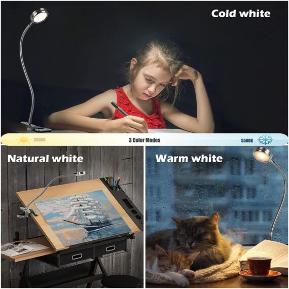 EYOCEAN Leselampe, LED Klemmlampe, 360° Flexibel Schwanenhals Lampe, 3 Farbmodi & 9 Helligkeitsstufen, Augenpflege Schreibtischlampe für Büro Heimgebrauch, CE Adapter Enthalten, 5W, Silber