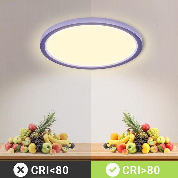 LQWELL® Deckenleuchte LED Deckenlampe, 1,6CM Ultradünn Rund Flach IP44 Wasserfest Badlampe 24W 3000K 2500LM Modern für Wohnzimmer Badezimmer Schlafzimmer Küche Balkon Keller Büro, 300 * 16mm