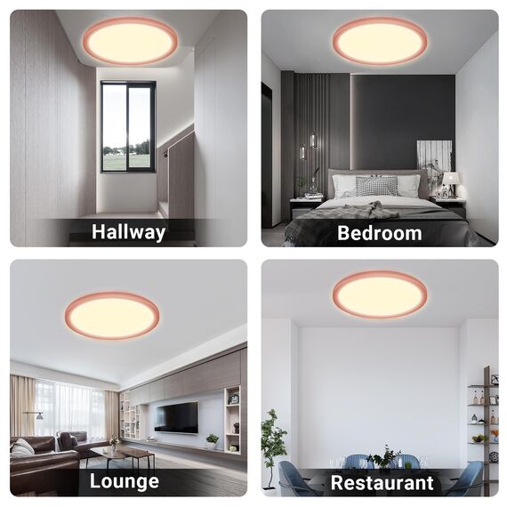 LQWELL® Deckenleuchte LED Deckenlampe, 1,6CM Ultradünn Rund Flach IP44 Wasserfest Badlampe 24W 3000K 2500LM Modern für Wohnzimmer Badezimmer Schlafzimmer Küche Balkon Keller Büro, 300 * 16mm