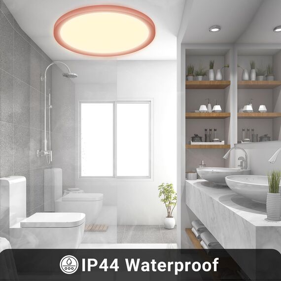 LQWELL® Deckenleuchte LED Deckenlampe, IP44 Wasserfest Badlampe Rund Flach 18W 3000K 1600LM Modern Schlicht Lampe Dünn für Wohnzimmer Badezimmer Schlafzimmer Küche Balkon Keller Büro, 220 * 24mm
