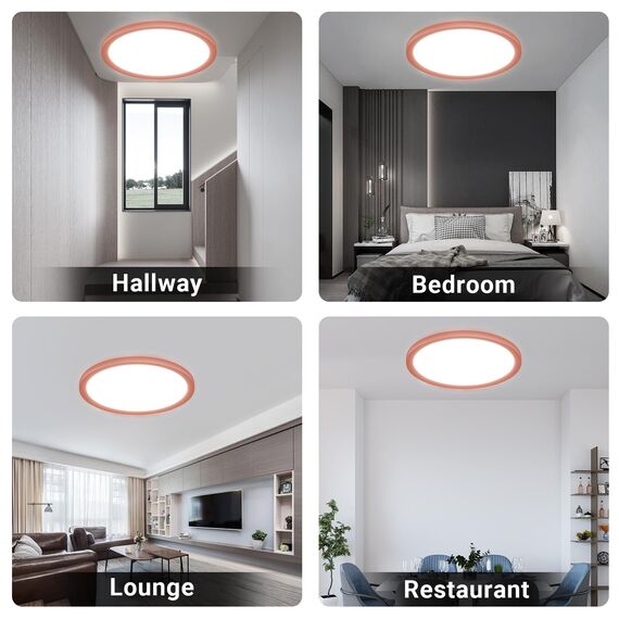 LQWELL® Deckenleuchte LED Deckenlampe, 1,6CM Ultradünn Rund Flach IP44 Wasserfest Badlampe 24W 6500K 2500LM Modern für Wohnzimmer Badezimmer Schlafzimmer Küche Balkon Keller Büro, 300 * 16mm