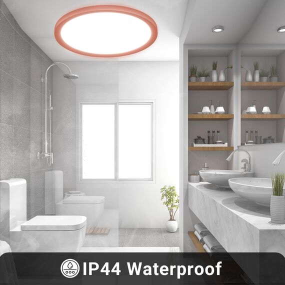LQWELL® Deckenleuchte LED Deckenlampe, 1,6CM Ultradünn Rund Flach IP44 Wasserfest Badlampe 18W 6500K 1700LM Modern für Wohnzimmer Badezimmer Schlafzimmer Küche Balkon Keller Büro, 220 * 16mm