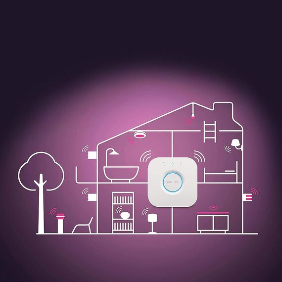 Philips Hue White & Color Ambiance Infuse Deckenleuchte M weiß 2100lm, dimmbar, 16 Mio. Farben, steuerbar via App, kompatibel mit Amazon Alexa (Echo, Echo Dot)