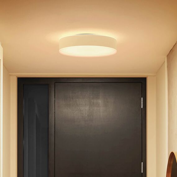 Philips Hue White Ambiance Enrave Deckenleuchte S (1.220 lm) inkl. Dimmschalter, dimmbare Deckenlampe für das Hue Lichtsystem mit allen Weißtönen, smarte Lichtsteuerung über Sprache und App, weiß