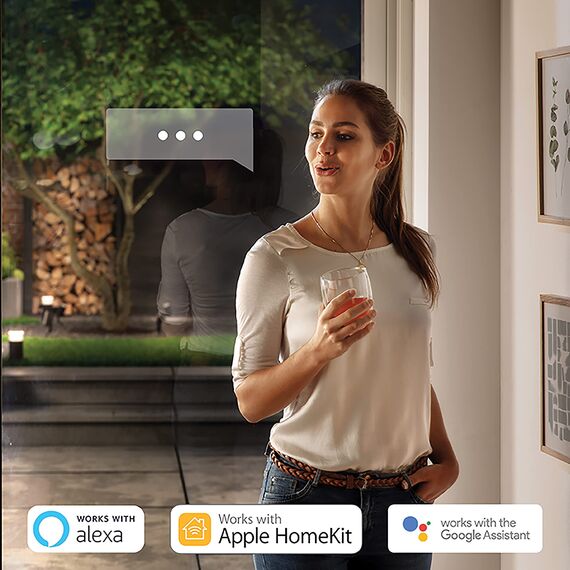 Philips Hue White & Color Ambiance Lily Gartenstrahler [nur Erweiterung], Außenleuchte erfordert Hue Bridge + Base Kit (separat erhältlich), Spot funktioniert mit Alexa, Google Assistant & Apple Home