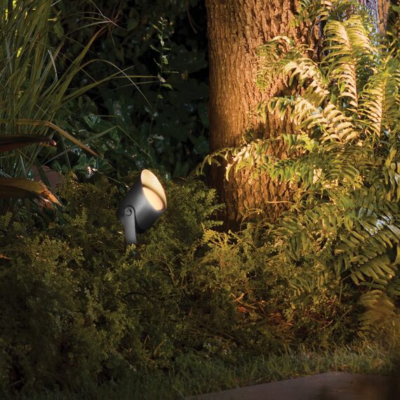 Philips Hue White & Color Ambiance Lily Gartenstrahler [nur Erweiterung], Außenleuchte erfordert Hue Bridge + Base Kit (separat erhältlich), Spot funktioniert mit Alexa, Google Assistant & Apple Home